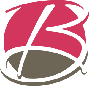 Brisk Logo 1
